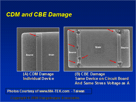 Figure 1:   CDM vs. CBE Damage (Formerly diagnosed as EOS)