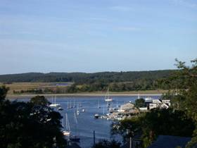 butternut View